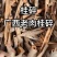 桂碎，桂儿皮