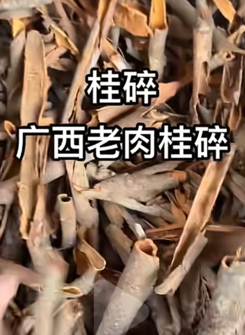 桂碎，桂儿皮