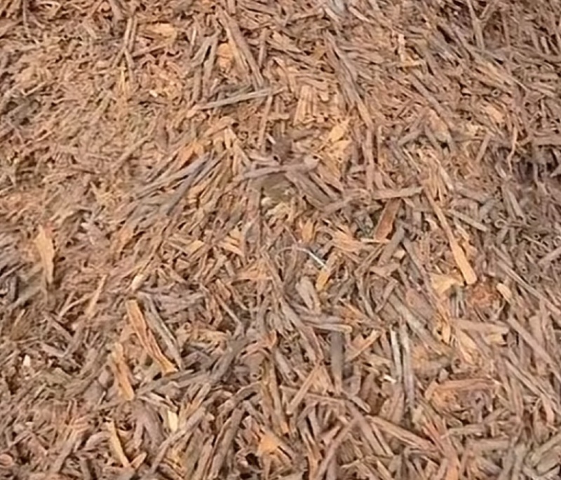桂碎，桂儿皮