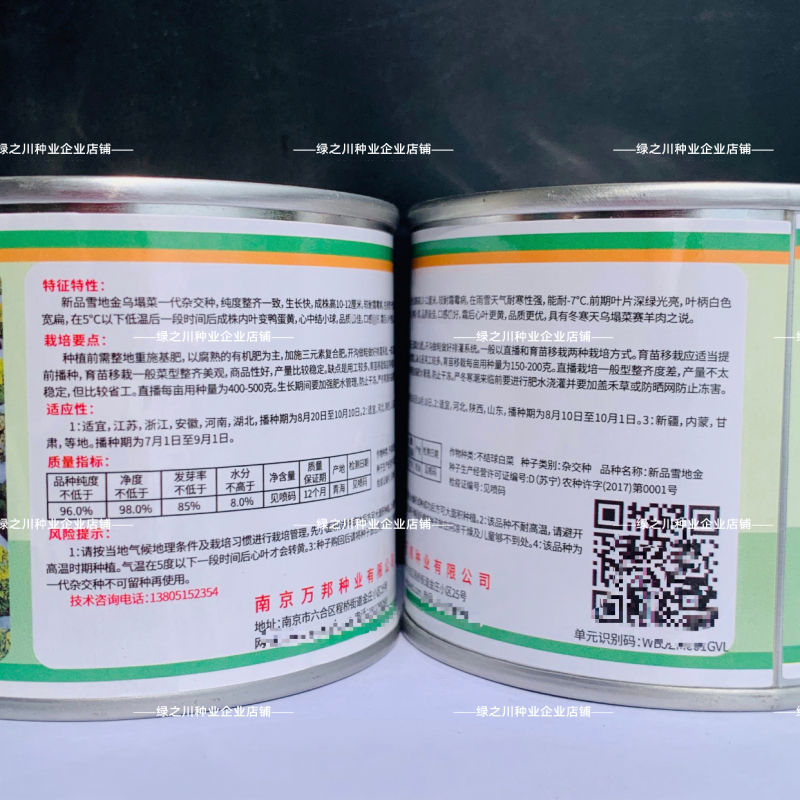 新品雪地金黄心乌种子球顶翻黄心耐寒黄心菜种子品质好