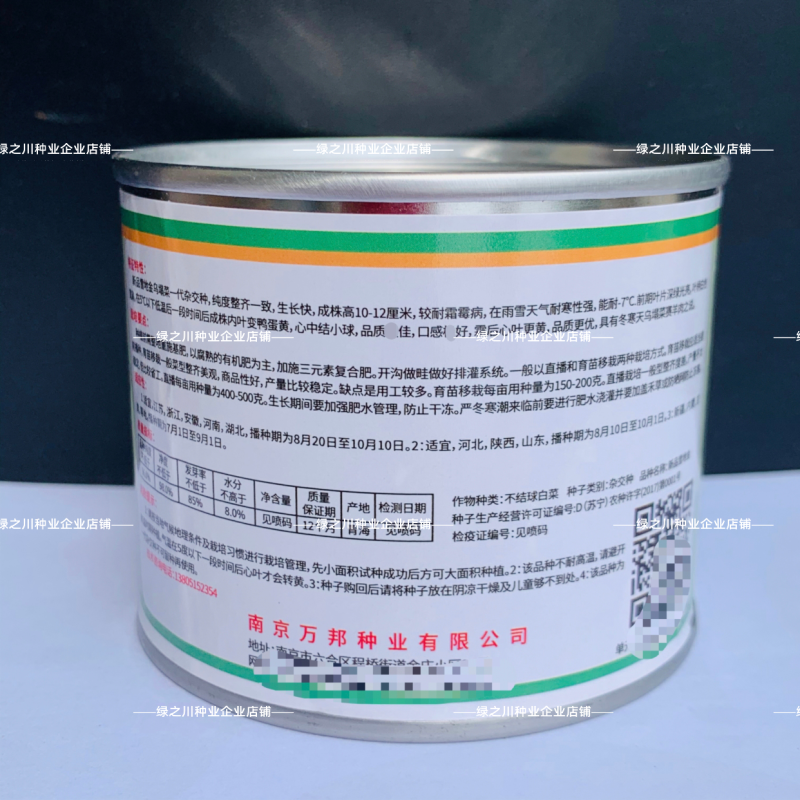 新品雪地金黄心乌种子球顶翻黄心耐寒黄心菜种子品质好