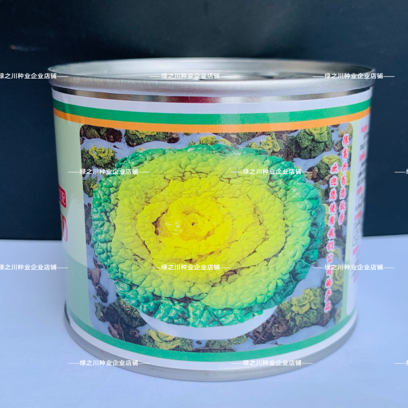 新品雪地金黄心乌种子球顶翻黄心耐寒黄心菜种子品质好