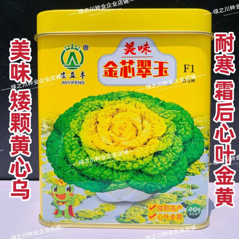 基地专用黄心乌种子金芯翠玉黄心乌塌菜菜种子内叶金黄色
