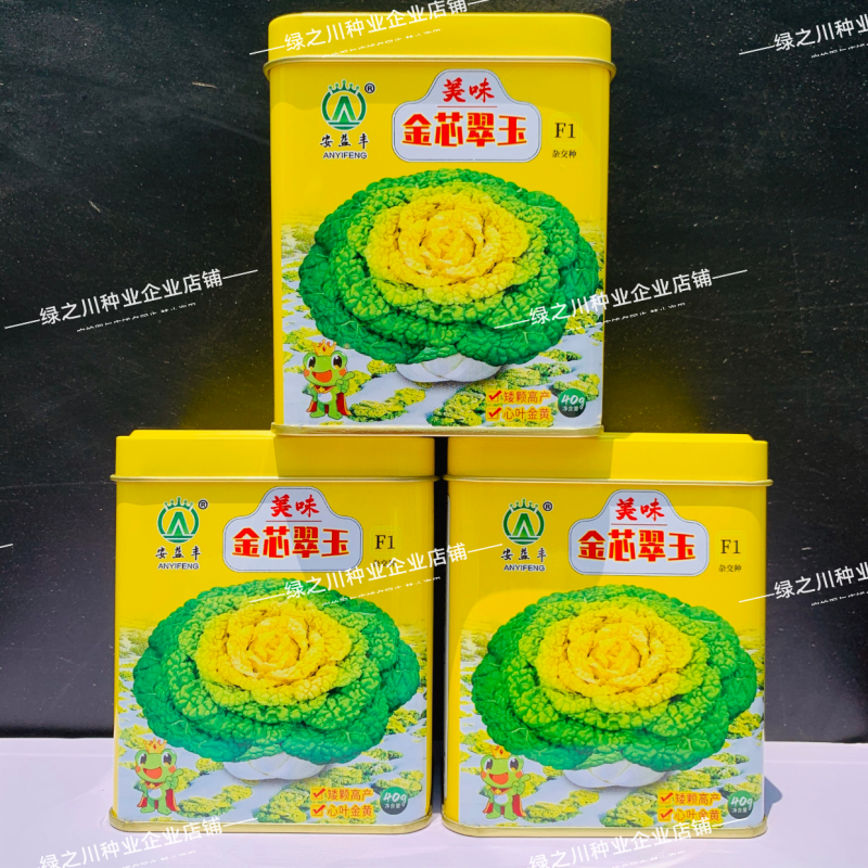 基地专用黄心乌种子金芯翠玉黄心乌塌菜菜种子内叶金黄色