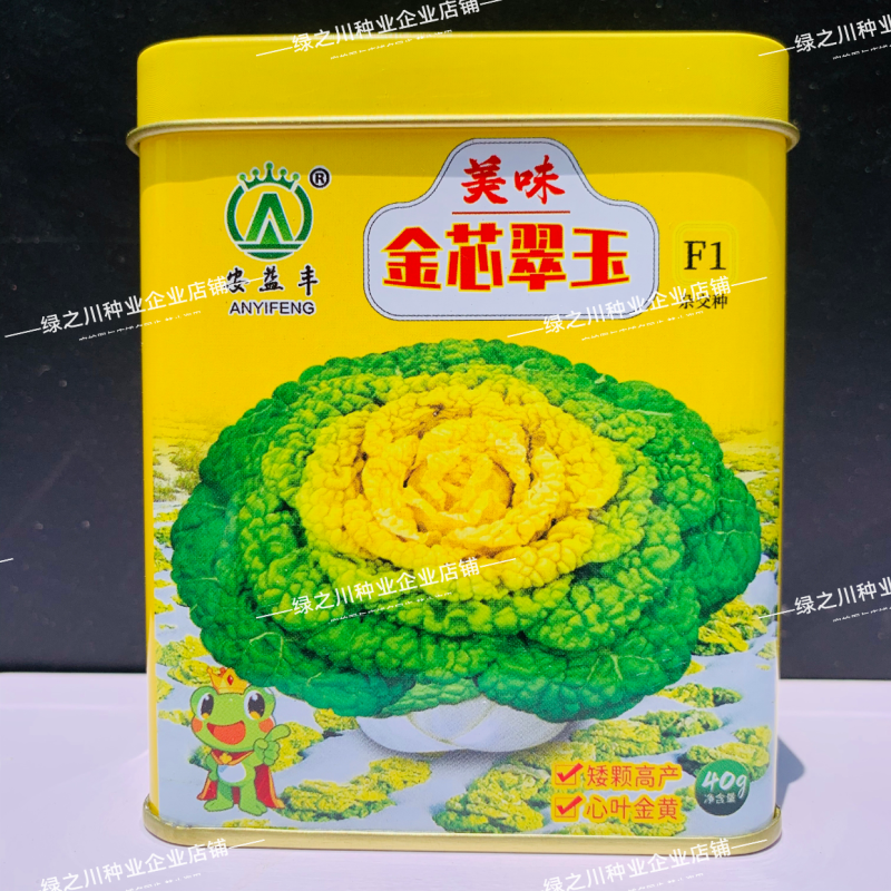 基地专用黄心乌种子金芯翠玉黄心乌塌菜菜种子内叶金黄色