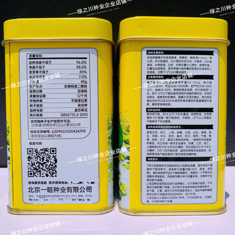 基地专用黄心乌种子金芯翠玉黄心乌塌菜菜种子内叶金黄色