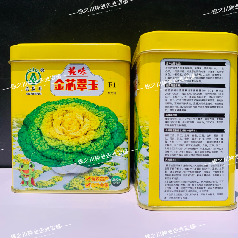 基地专用黄心乌种子金芯翠玉黄心乌塌菜菜种子内叶金黄色