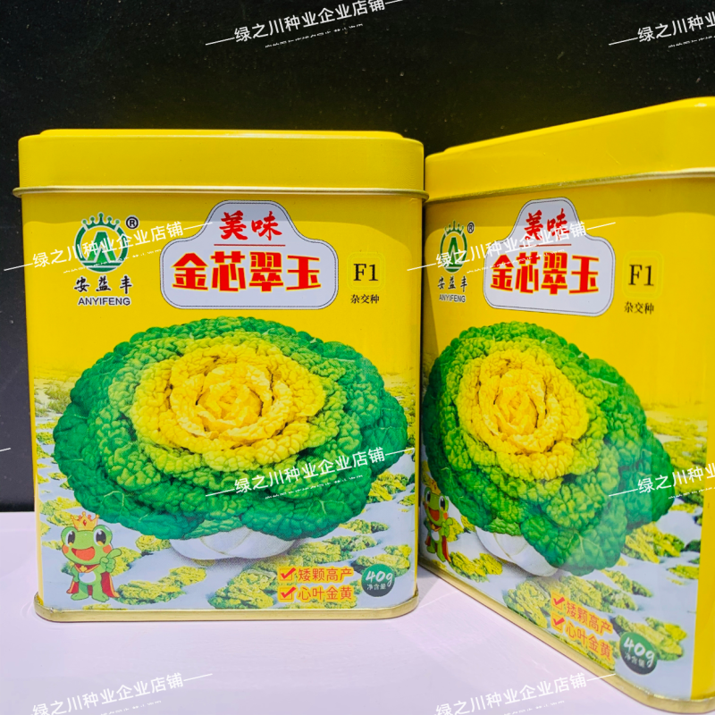 基地专用黄心乌种子金芯翠玉黄心乌塌菜菜种子内叶金黄色