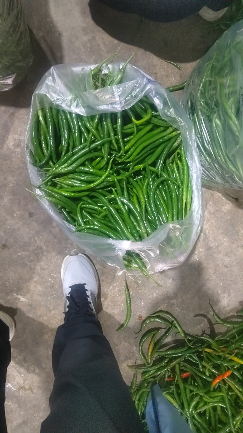 电商货，价格便宜