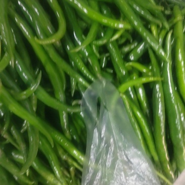 电商货，价格便宜