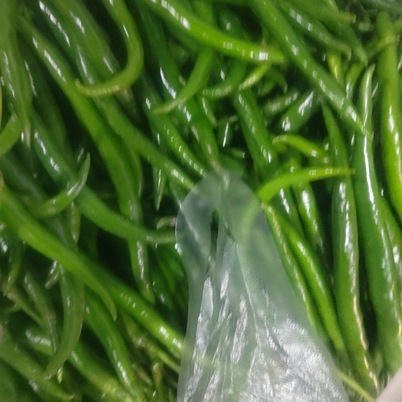 电商货，价格便宜