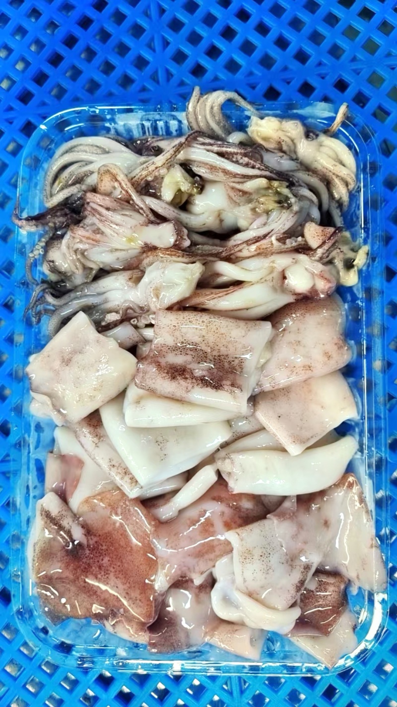 原切鱿鱼