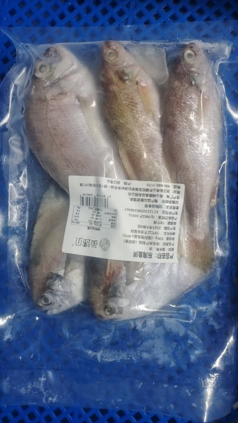 舟山海杂鱼