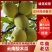 云南高原酸木瓜