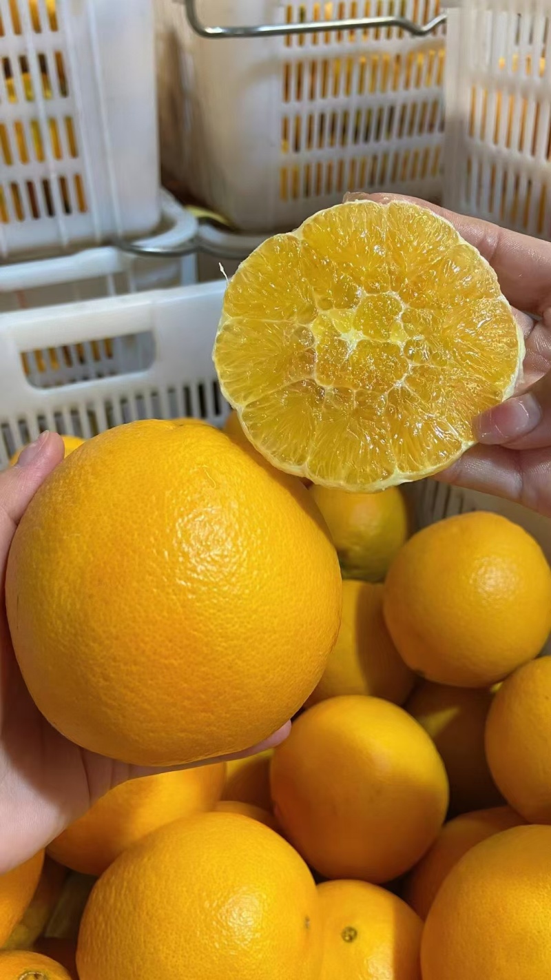 中国脐橙之乡赣南脐橙精品果无催熟