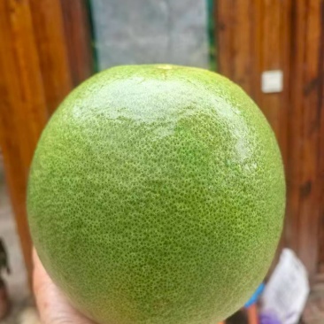 青柚