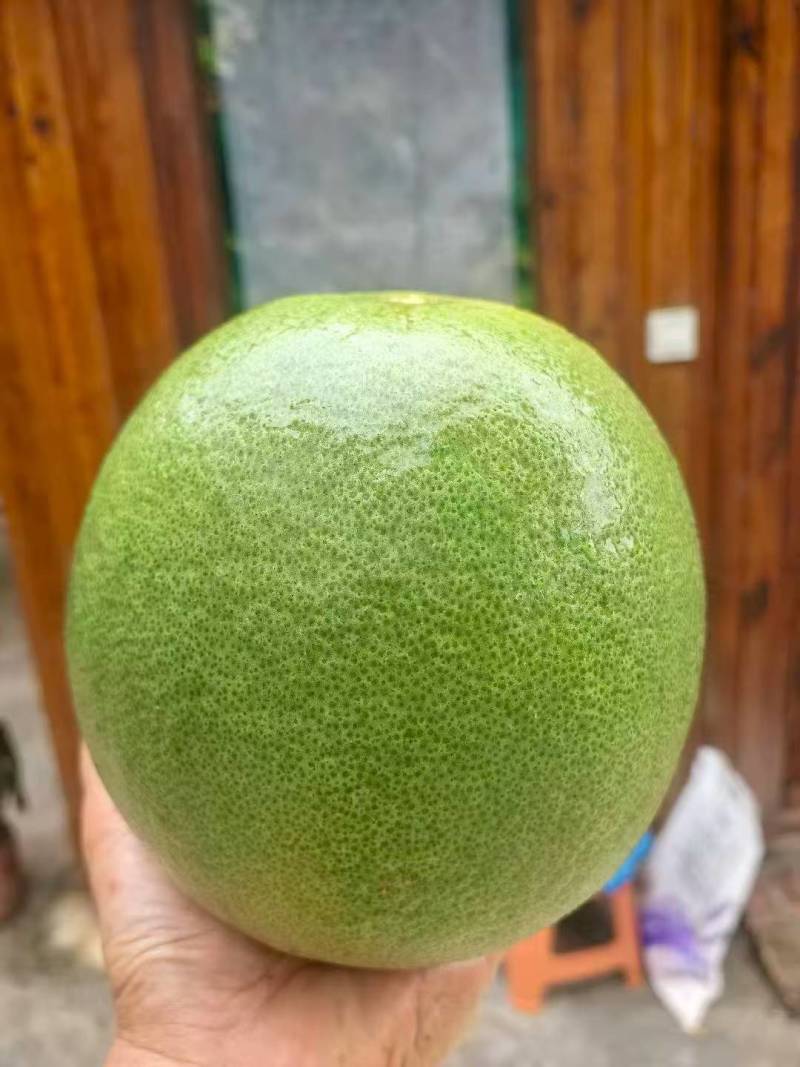 青柚