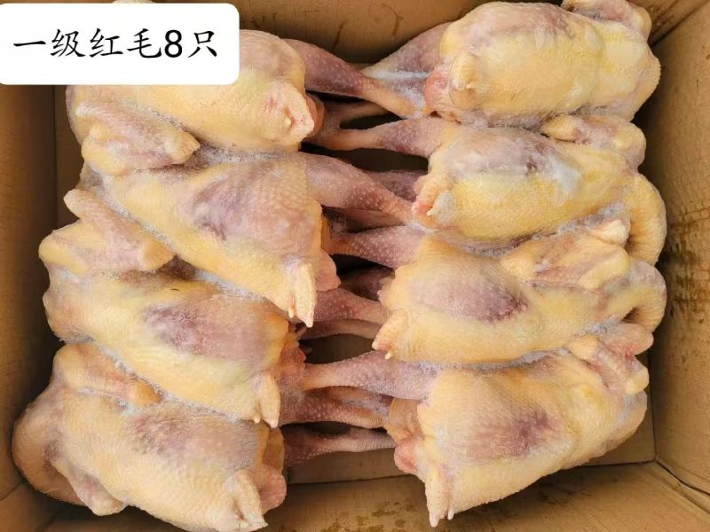 白条老母鸡，