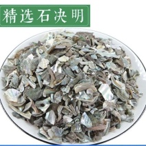 石决明精选优质干净无杂质石决明批发零售