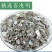 石决明精选优质干净无杂质石决明批发零售