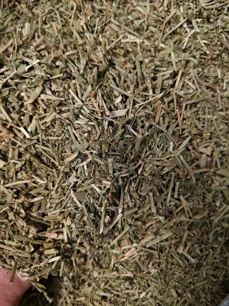 萹蓄新货萹蓄草切段批发零售量大从优