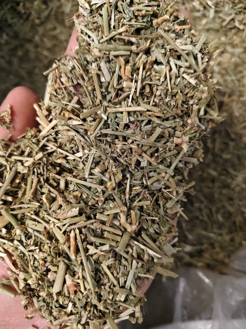 萹蓄新货萹蓄草切段批发零售量大从优