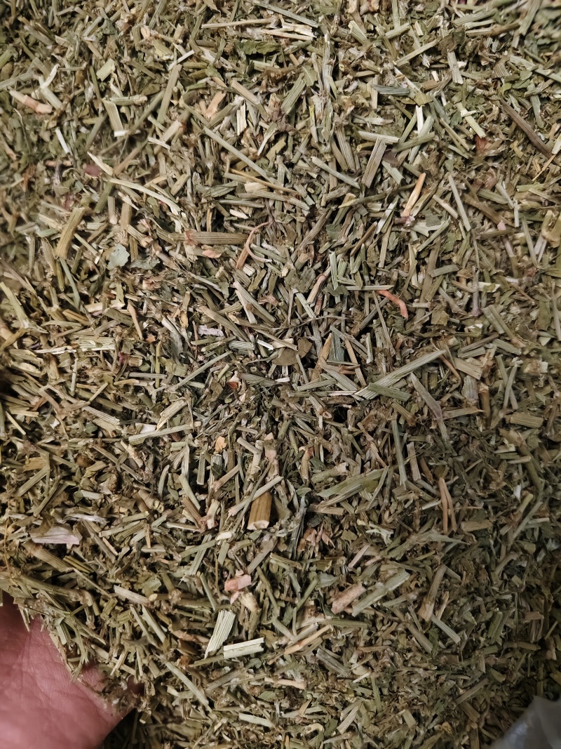 萹蓄新货萹蓄草切段批发零售量大从优