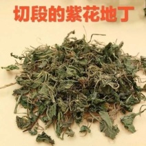 紫花地丁新货紫花地丁切段干净无杂质批发零售