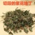 紫花地丁新货紫花地丁切段干净无杂质批发零售
