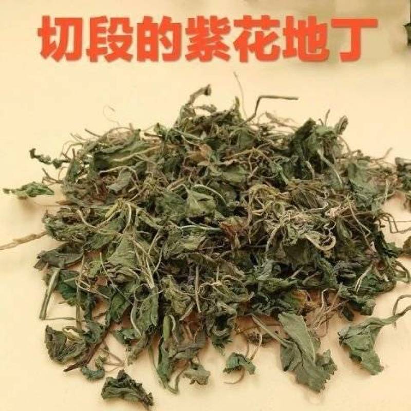 紫花地丁新货紫花地丁切段干净无杂质批发零售