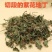 紫花地丁新货紫花地丁切段干净无杂质批发零售