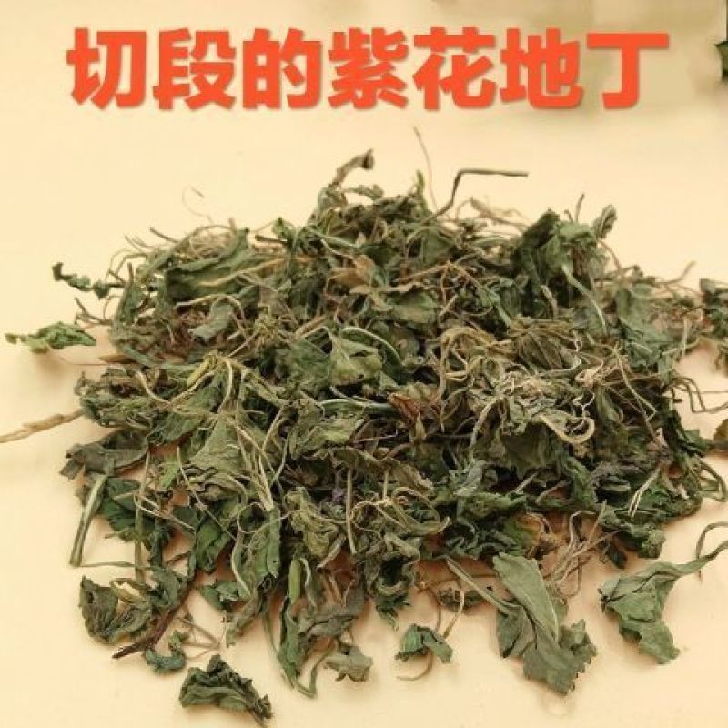 紫花地丁新货紫花地丁切段干净无杂质批发零售