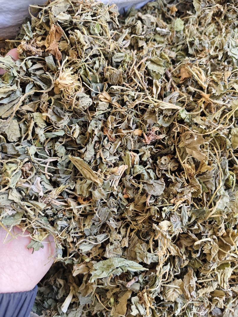 紫花地丁新货紫花地丁切段干净无杂质批发零售