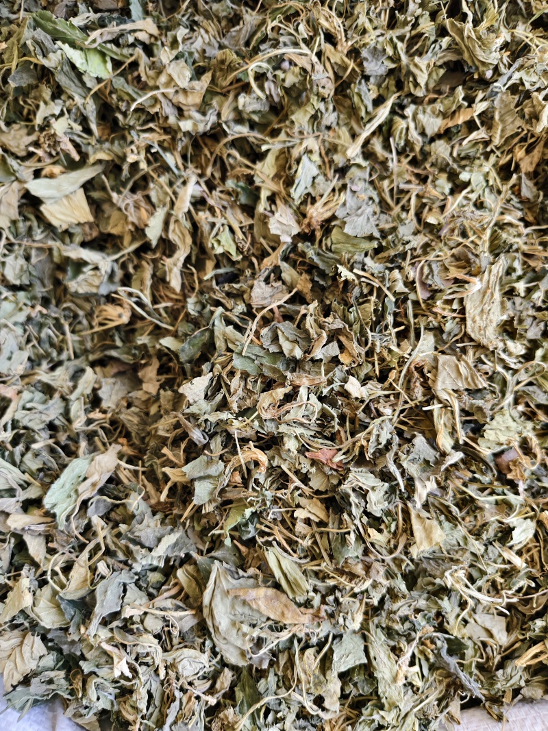 紫花地丁新货紫花地丁切段干净无杂质批发零售