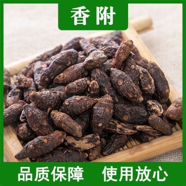 香附子中药材香附子批发无硫正品炒香附药材