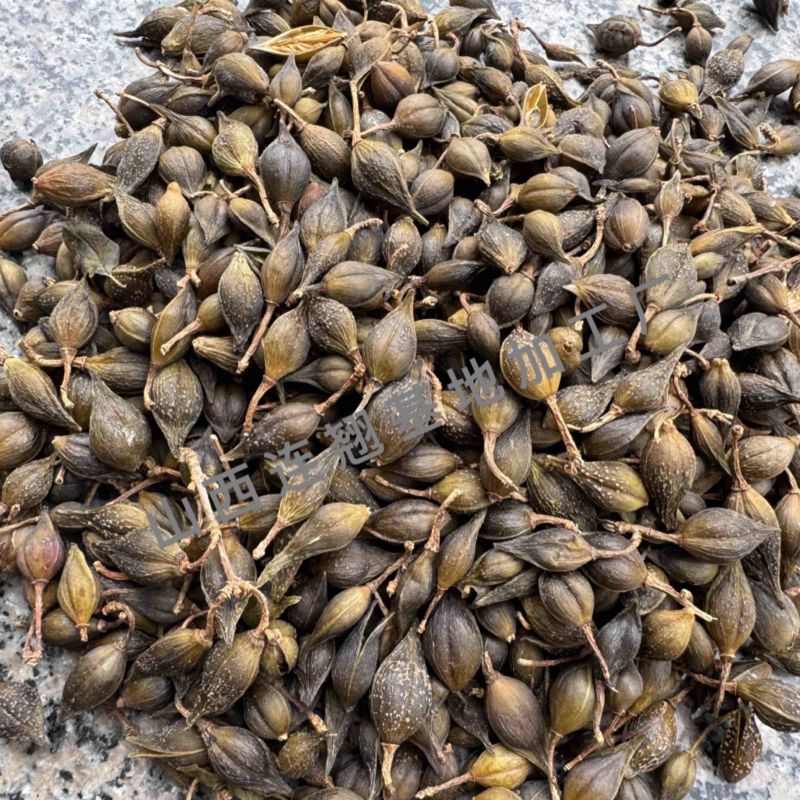 正宗好连翘长期有货不怕断24小时在线服务随时待命