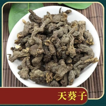 天葵子中药材冷背正品千年老鼠屎道地药材精选无硫
