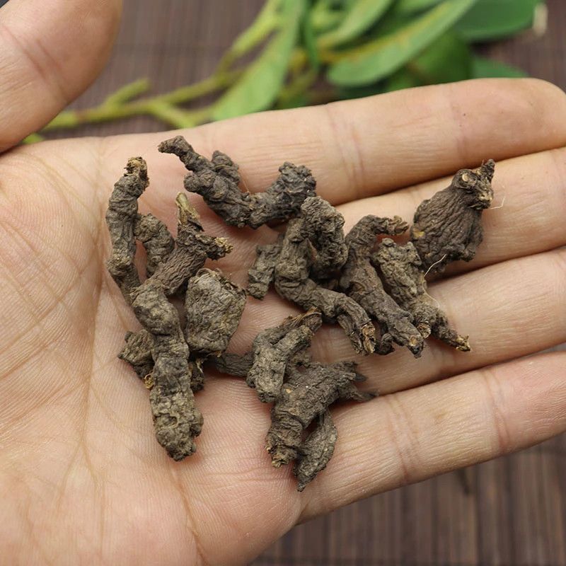 天葵子中药材冷背正品千年老鼠屎道地药材精选无硫