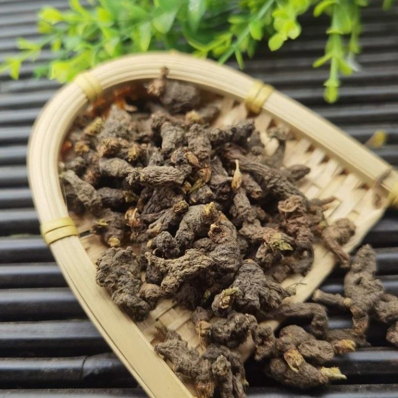 天葵子中药材冷背正品千年老鼠屎道地药材精选无硫