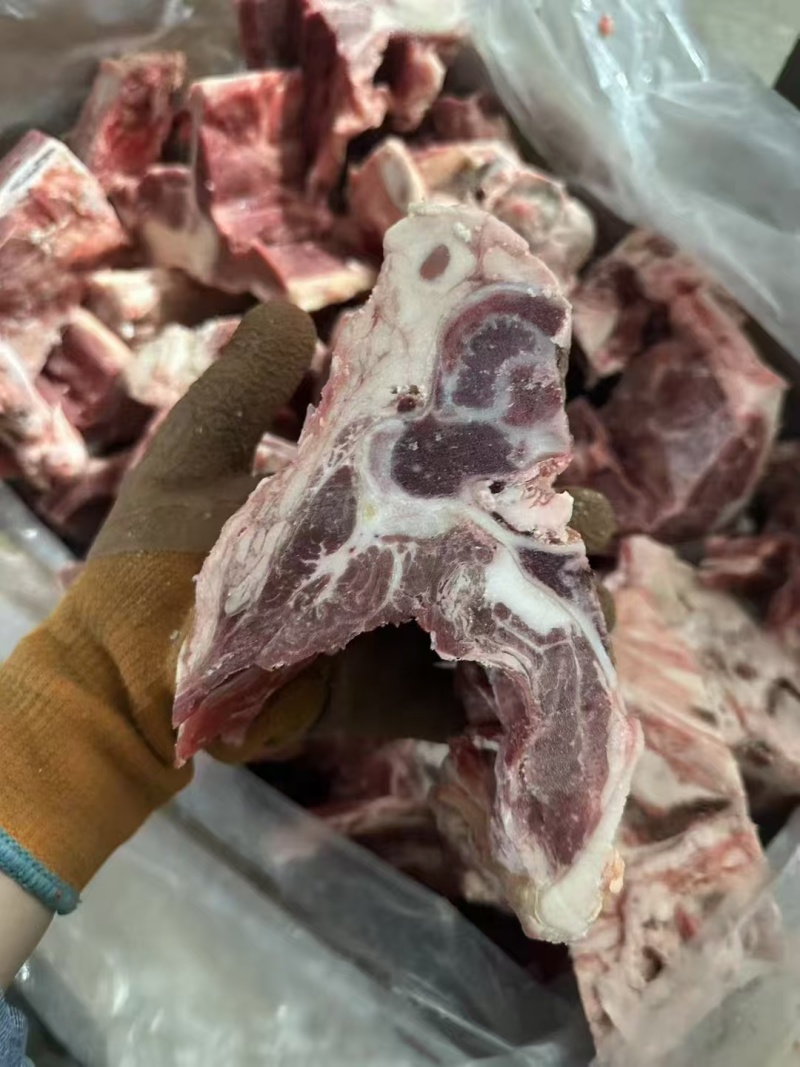 满肉牛腰椎骨