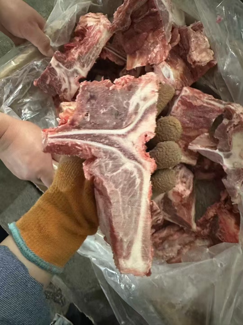 满肉牛腰椎骨