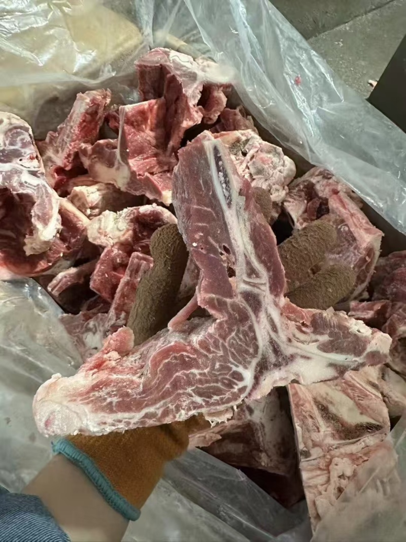 满肉牛腰椎骨