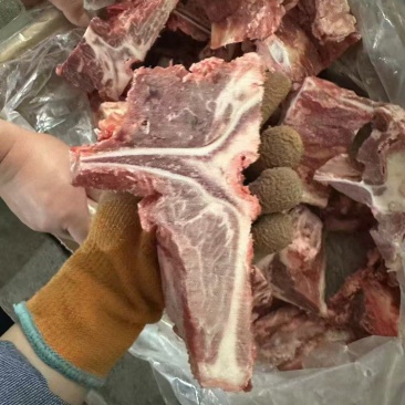 多肉牛腰椎骨