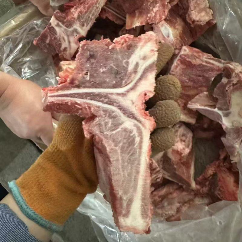 多肉牛腰椎骨