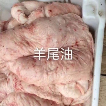 羊尾油