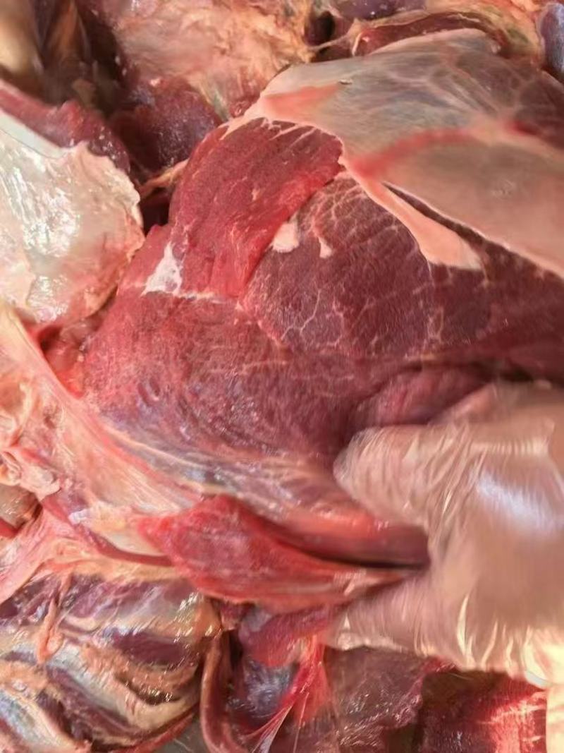 大块牛碎肉