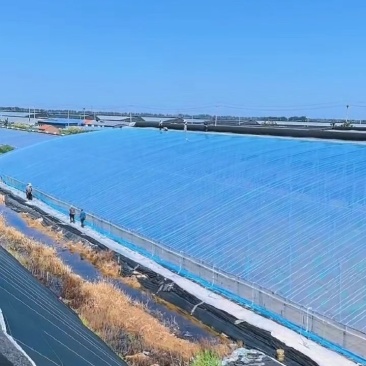 po膜8丝起塑料大棚薄膜防流滴消雾高透光保温棚膜可定制