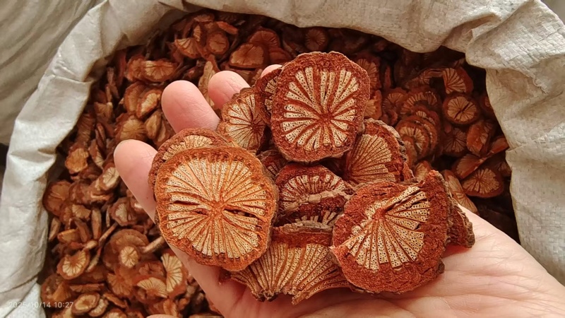 红藤大血藤大片选货2斤起包邮量大优惠