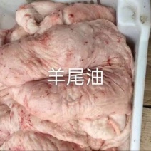 羊尾油