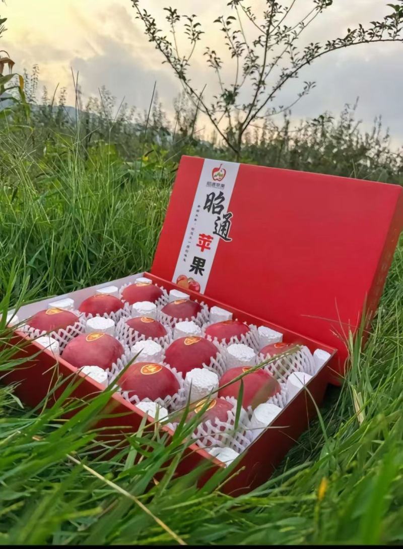 10月15日云南省昭通市昭阳区可整车发货更优惠，一件代发